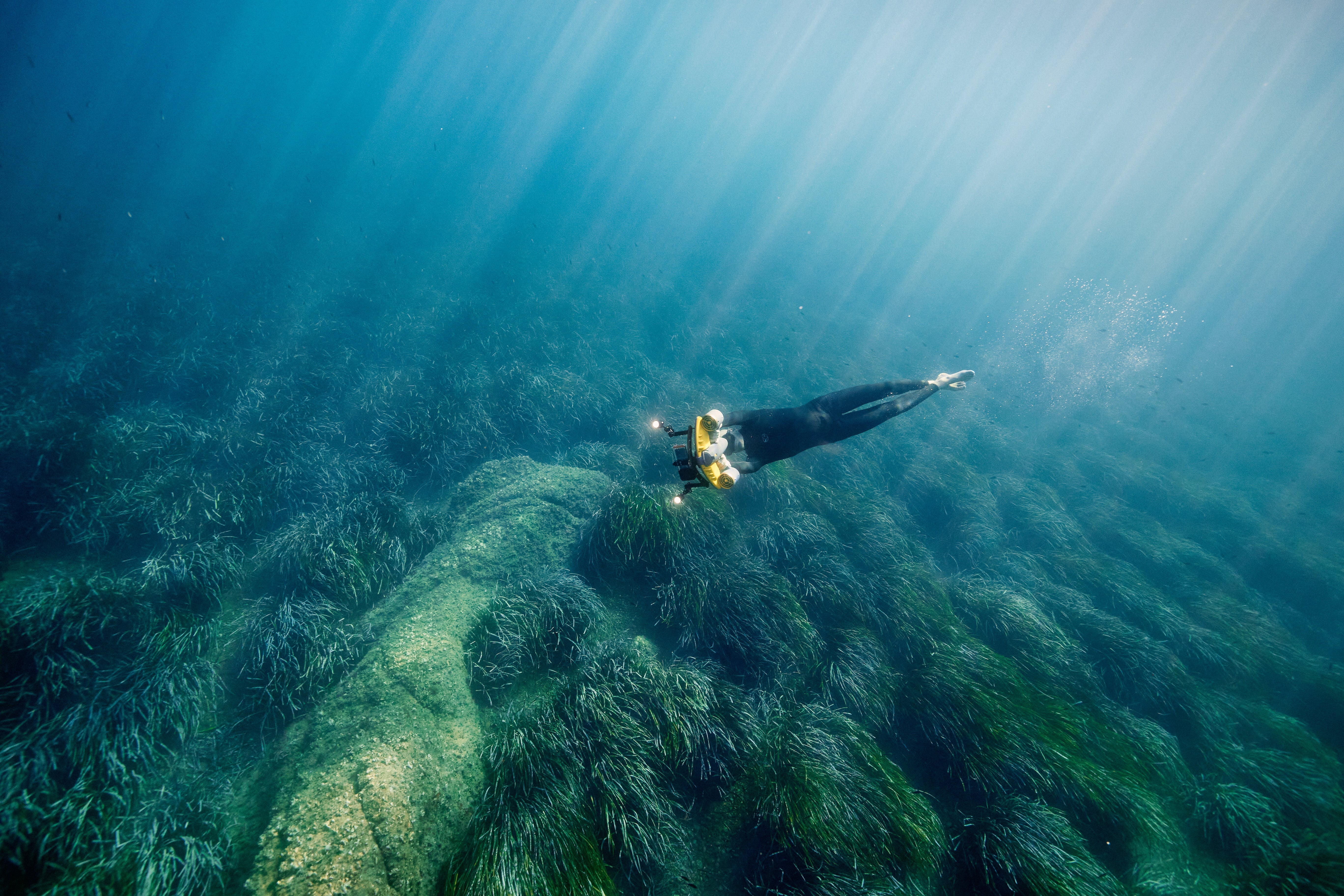 Expandable Phone Clip Kit